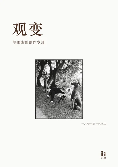 毕加索《观变》回忆册封面